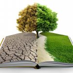 500 توصیه برای رهایی از افسردگی و رسیدن به نشاط و شادکامی- قسمت 18