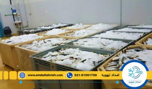 تعمیر سردخانه