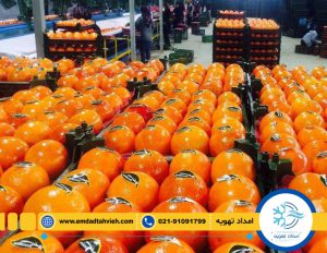 راه اندازی سردخانه